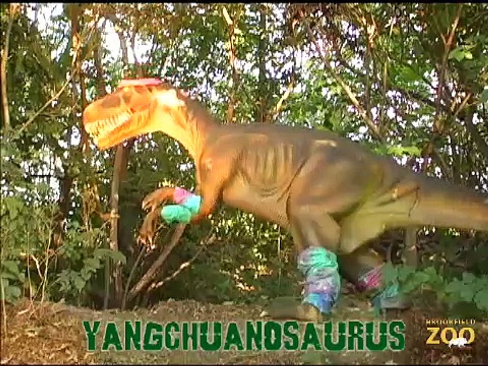Mesozoic Idol  Yangchuanosaurus (Week 12)