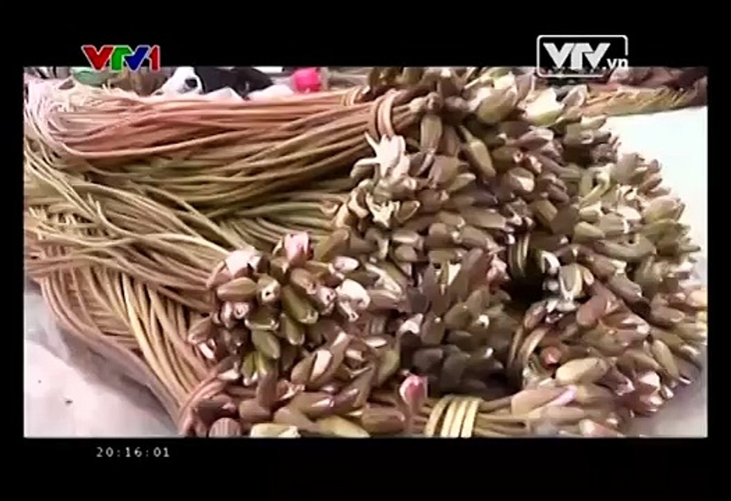 Phim tài liệu: Sống chung với lũ Tập 1