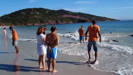 Он просто снимал море и пляж, как вдруг случилось нечто немыслемое