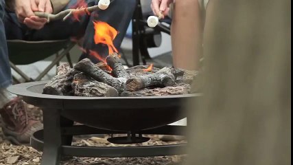 Brookfield Zoo 30-Second Commercial  Family Campout