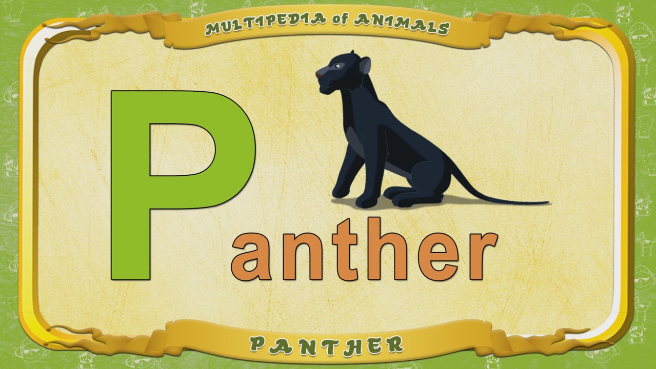 Multipedia of Animals. Letter P - Panther