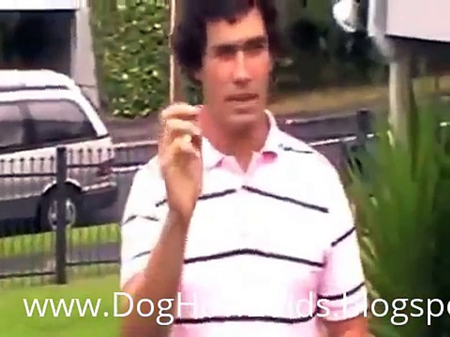 ⁣How to Train Your Dog to Potty in One Area |Dog How2 Vids|
