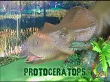 Mesozoic Ido  Protoceratops (Week 14)