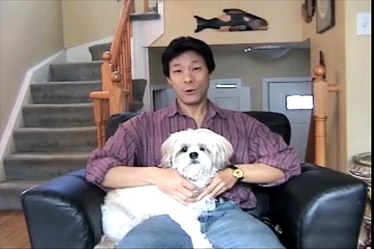 How to Potty Train Your Dog Indoors With Dog Litter Box