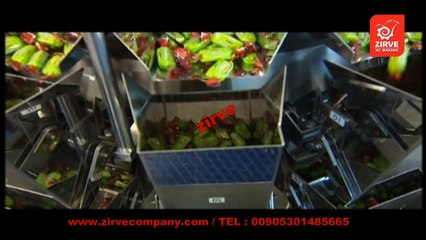 نعبئة جميع انواع المواد الجافة والرطبة نظام وزني دقيق W10-S