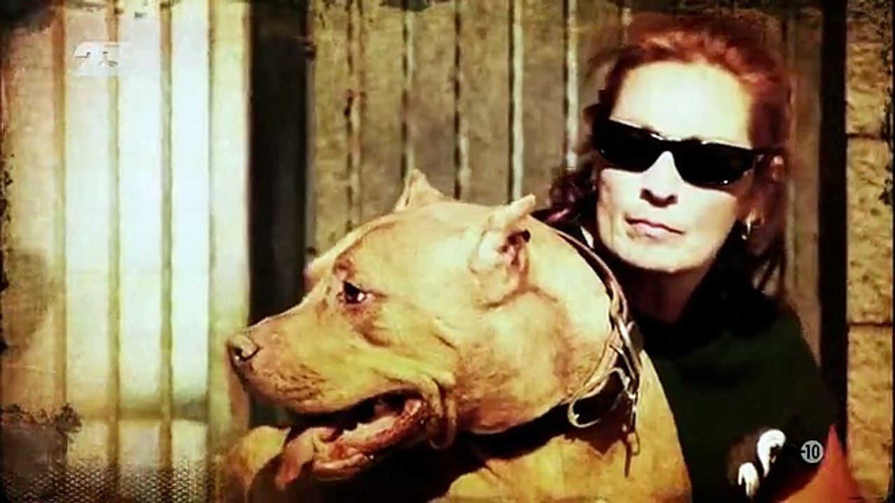 Pitbulls Et Prisonniers - Saison 3 épisode 5 - en français