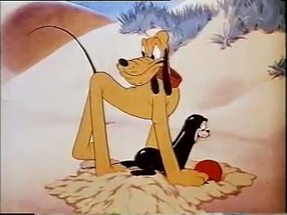 Disney Cartoon Plutos Playmate