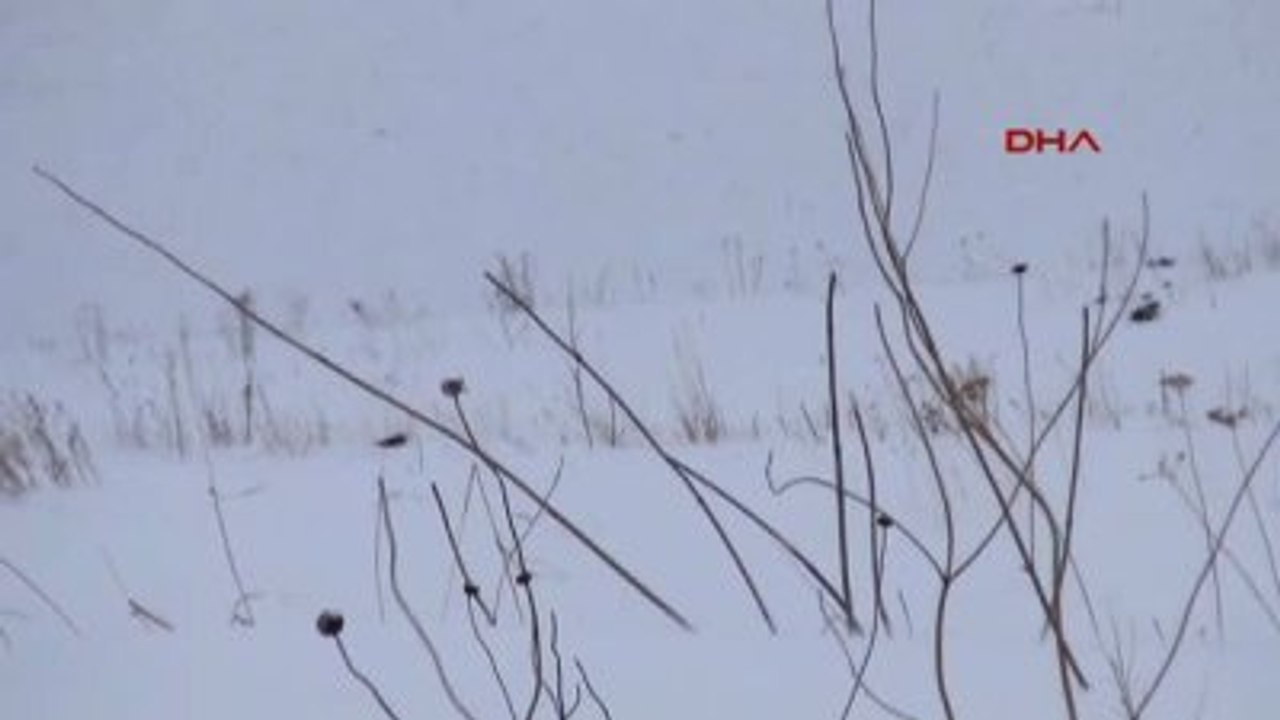 Kars Hediklerle Tırmanıp Kayakla İndiler