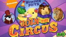 WONDER PETS Join The Circus On A Summer Vacation As Emcees