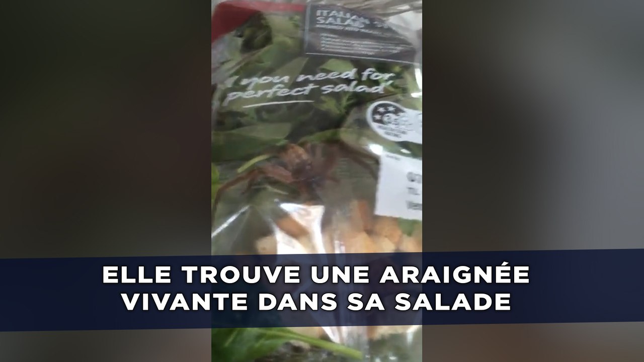 Elle trouve une énorme araignée vivante dans sa salade