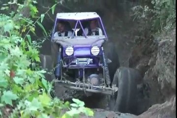 Powerstroke Buggy with a Nasty 7.3 Diesel Engine