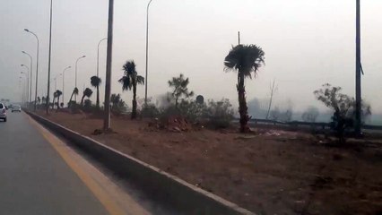 Billion Tree Tsunami- along Motorway in Peshawar