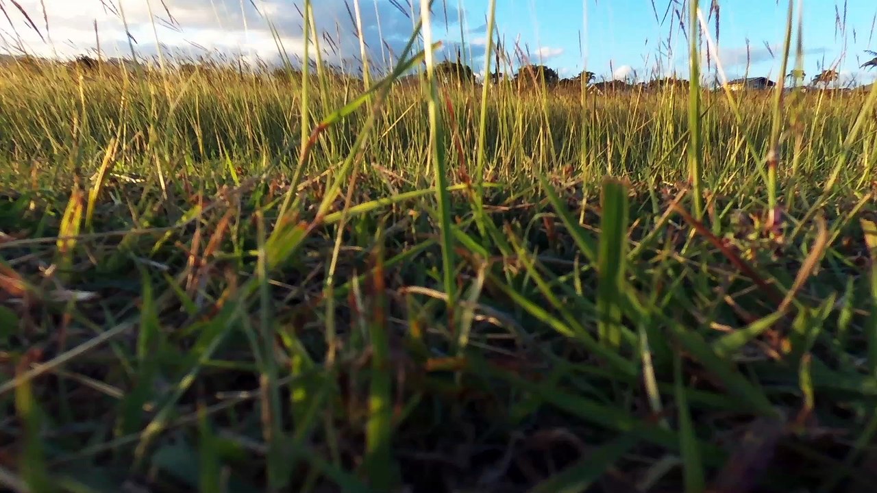 Superbowl Drone Day