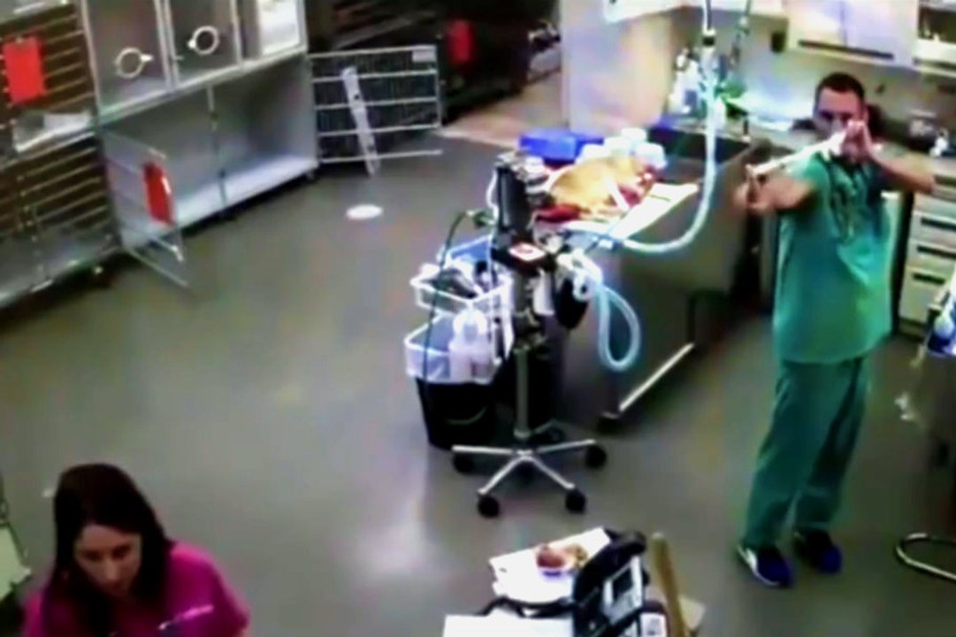 Lateks Eldiven Geri Tepti