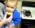funny baby face eating lemon