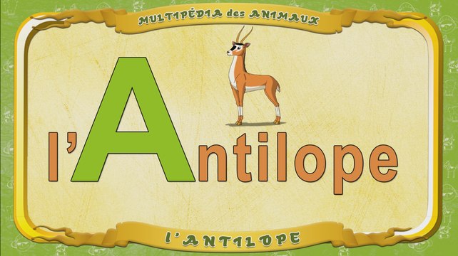 Multipédia des animaux. La lettre A - l'Antilope