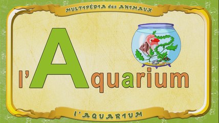 Multipédia des animaux. La lettre A - l'Aquarium