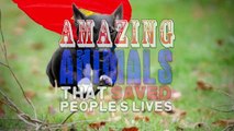 Unbelievable Animals That Saved People's Lives