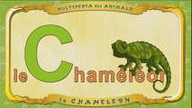 Multipédia des animaux. La lettre C - le Caméléon