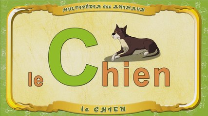 Multipédia des animaux. La lettre C - le Chien