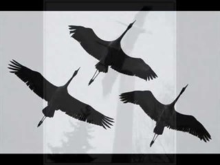 Журавли - Старое эмигрантское танго