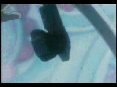 Cowboy bebop - old folk blues (spike)