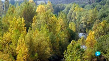 06 Memoria de España - Del Imperio cristiano a los reinos bárbaros