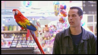 Parrot Gets Flirty - Throwback Thursday