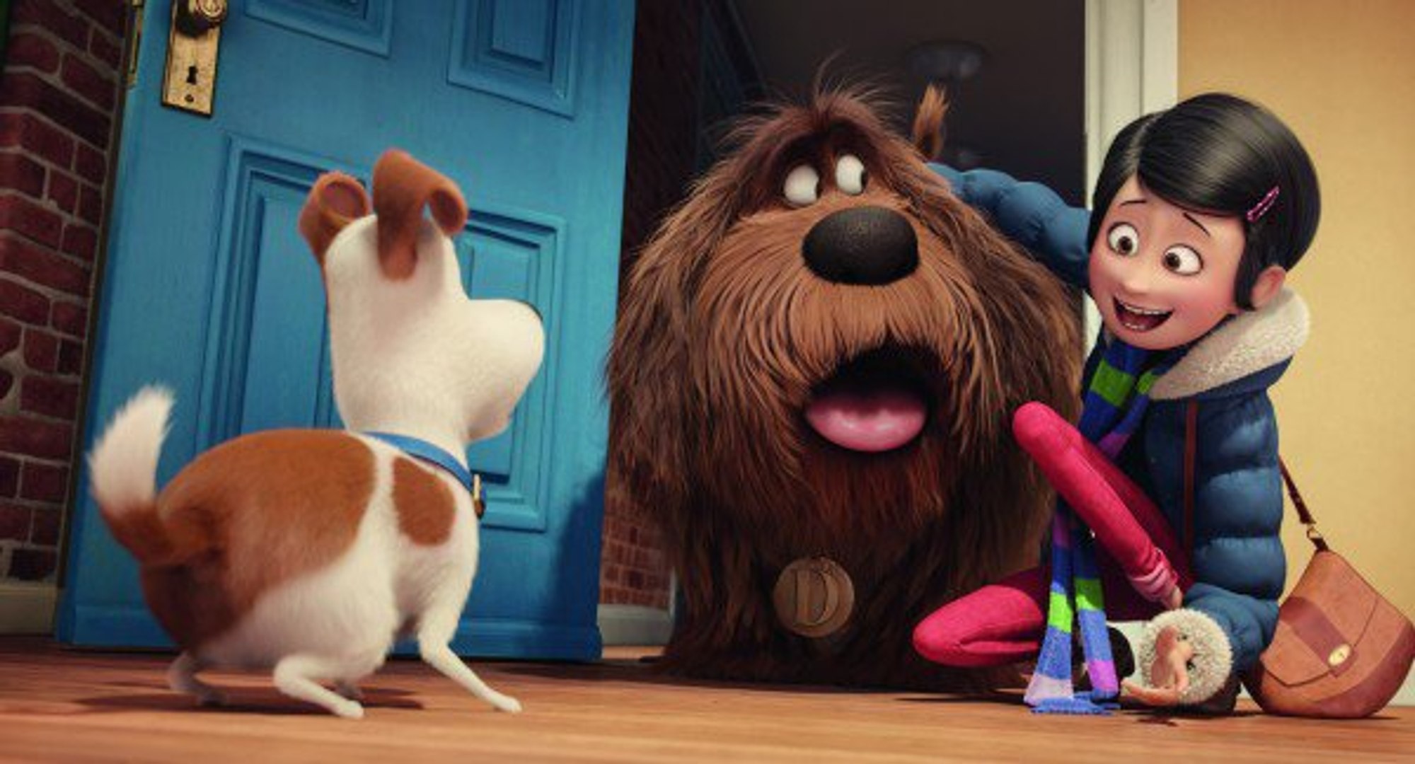 ⁣The Secret Life Of Pets : Super Bowl TV Spot (2016)