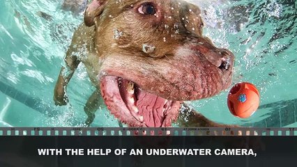 The Most Extraordinary Photos Ever Taken