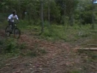 ramun aime les arbres