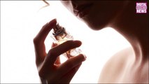 Quinten, le big data au service de la création de parfums