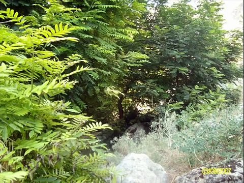 adıyaman besni akyazı köyü manzaraları