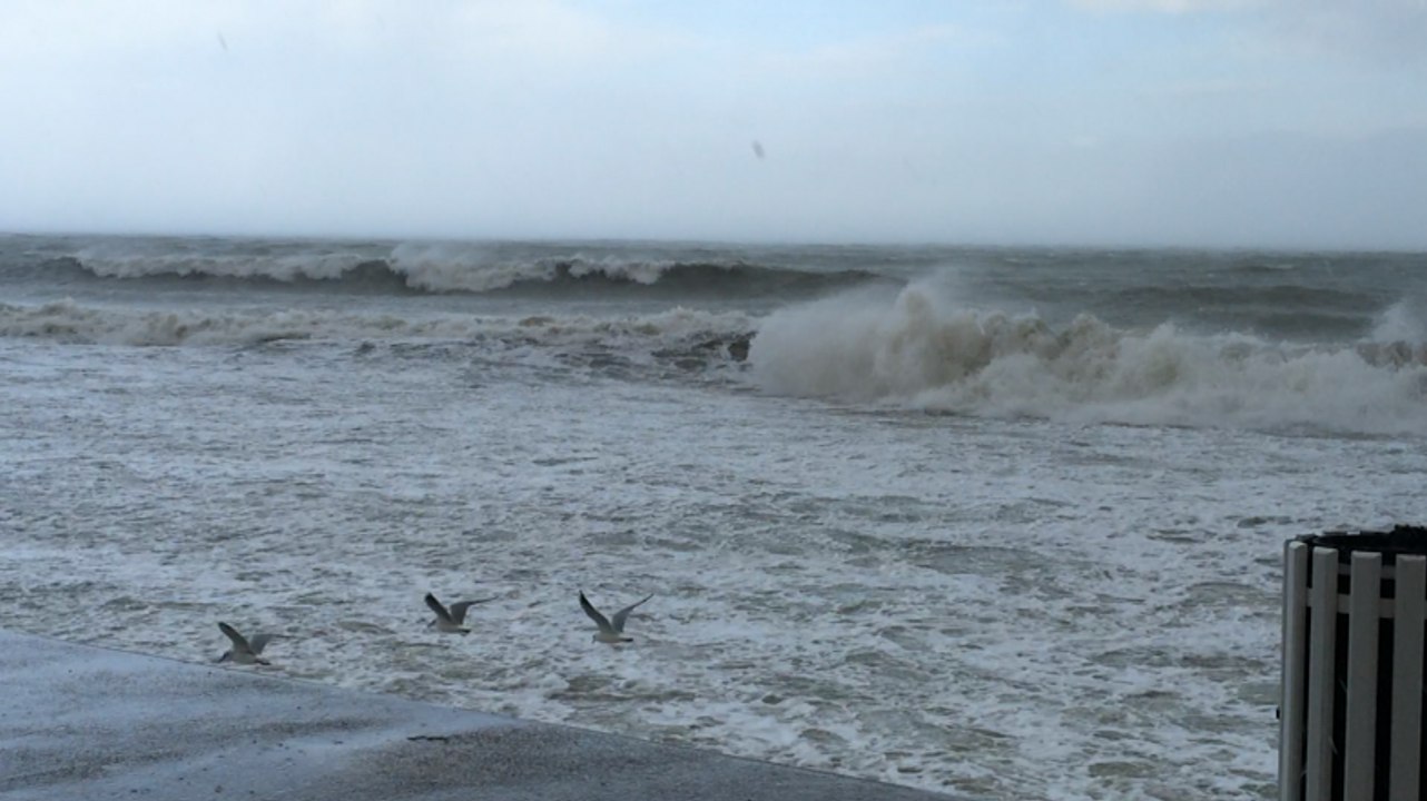 Un aperçu de la tempête en bord de mer
