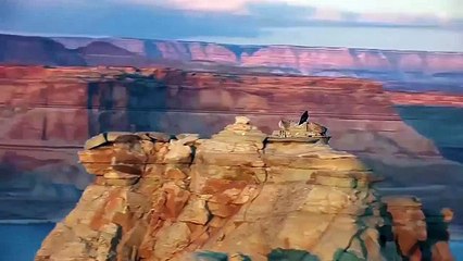 Горные ралли на велосипедах