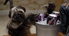 The Puppy Monkey Baby Super Bowl Commercial Is Nightmare Fuel