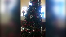 Cats Stuck in Christmas Trees