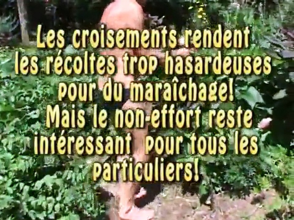 philip Forrer 2/2 jardin extraordinaire