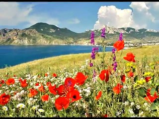 Посмотрите на Крым