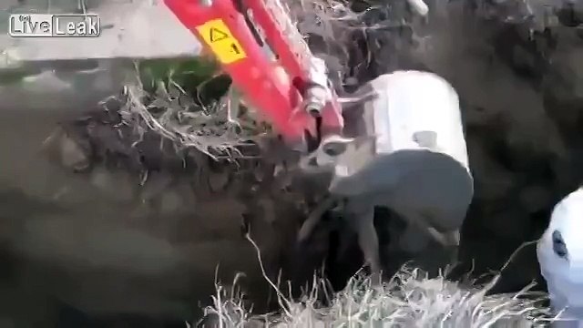 Первый день на работе