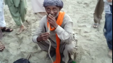 Yılanı burnundan sokup ağzından çıkardı