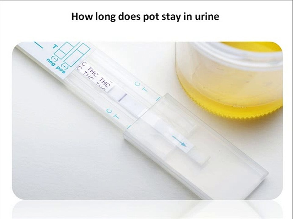 how long does pot stay in urine