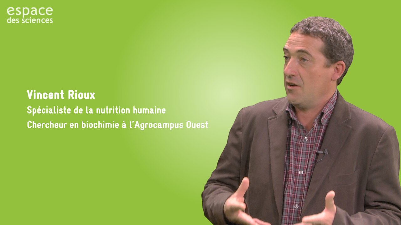 Points de vue de scientifiques sur l'alimentation dans le cadre de l'exposition "Bon Appétit"