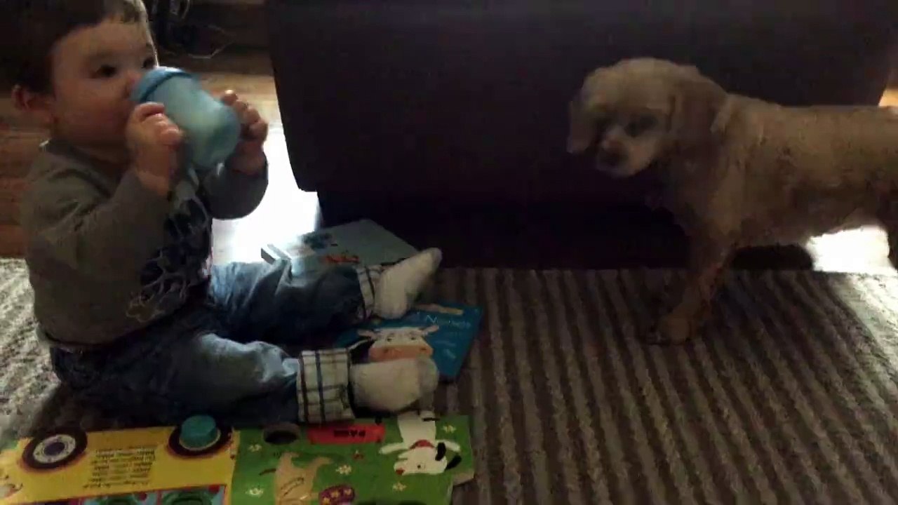 Baby Shares Sippy Cup With Dog