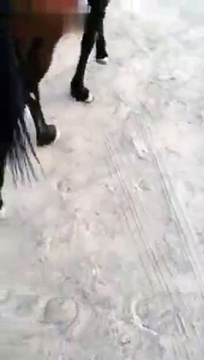 Fat guy can\'t get on the horse