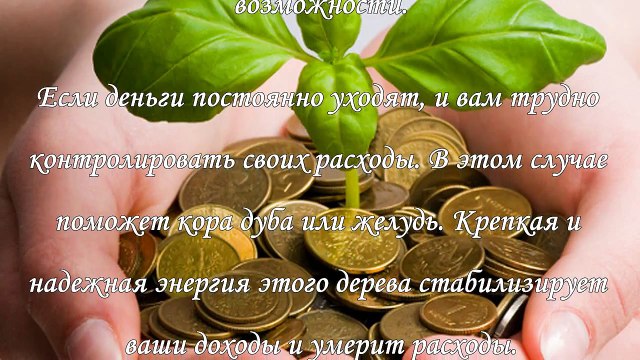 Талисманы для денег, какой выбрать