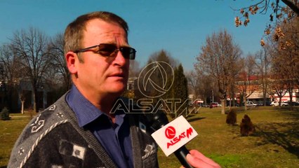 6 mijë qen endacakë në rrugët e Shkupit