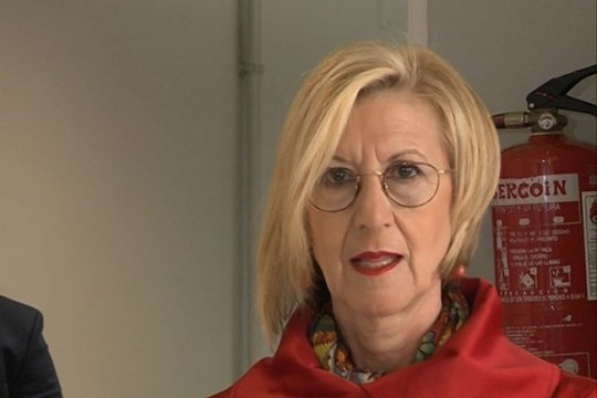 Rosa Díez anuncia su baja de UPyD