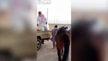 Fat guy tries to get on horse but the animal refuses