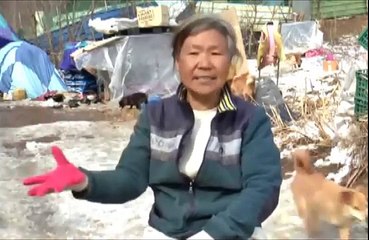 Elle a suavé plus de 200 chiens d'une mort certaine